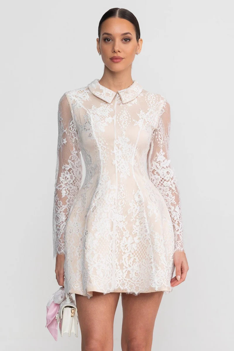 Long Sleeve Lace Mini Dress With Collared Neckline With Sheer Overlay   PALMA PARIS
