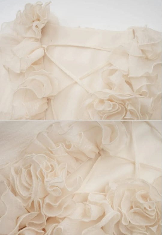 FLOWING SHEER DRESS WITH FLORAL APPLIQUES AND LONG PUFFY SLEEVES - Beige