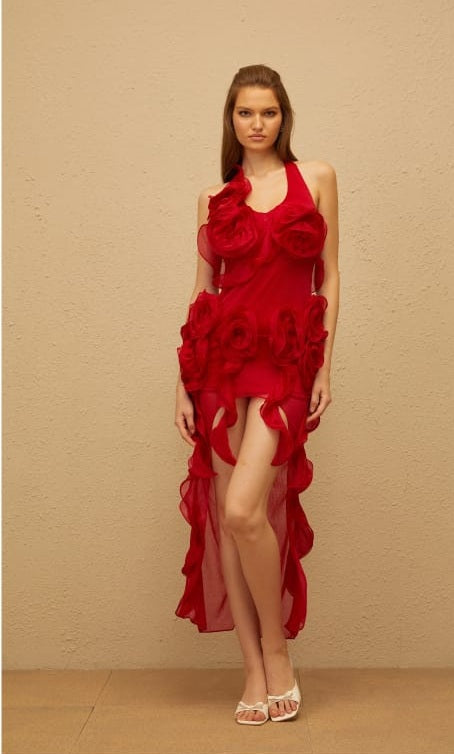 Hannabella Red Asymmetrical Ruffled Floral Mini Dress