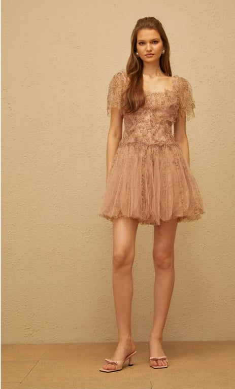 Gaëtane Brown Tulle Panel Lace Mini Dress