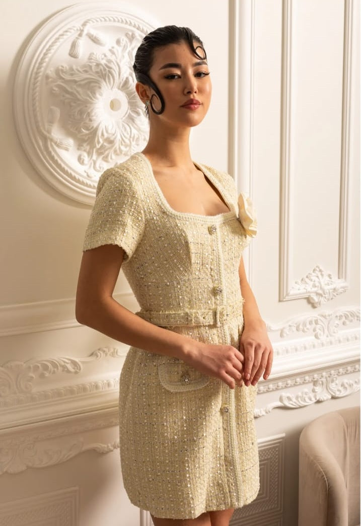 Textured Mini Dress With Matching Waistbelt And Floral Brooch - Beige