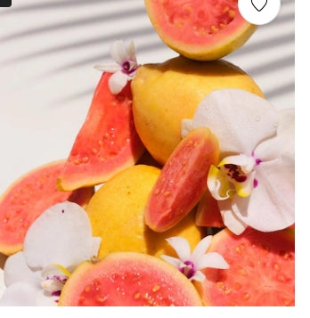 Cheirosa 48 Brouillard