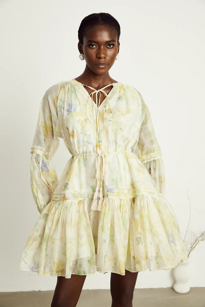 Anaël mame à imprimé floral mini robe