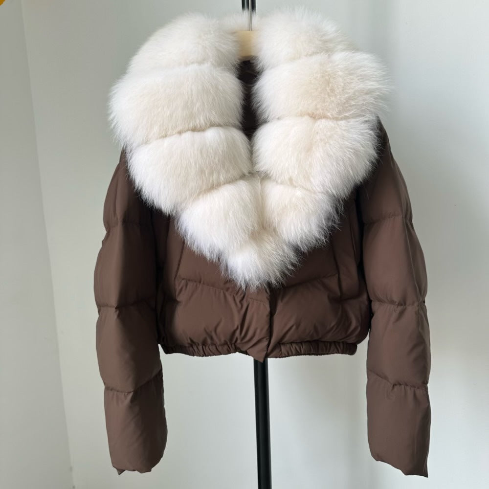 India coat short