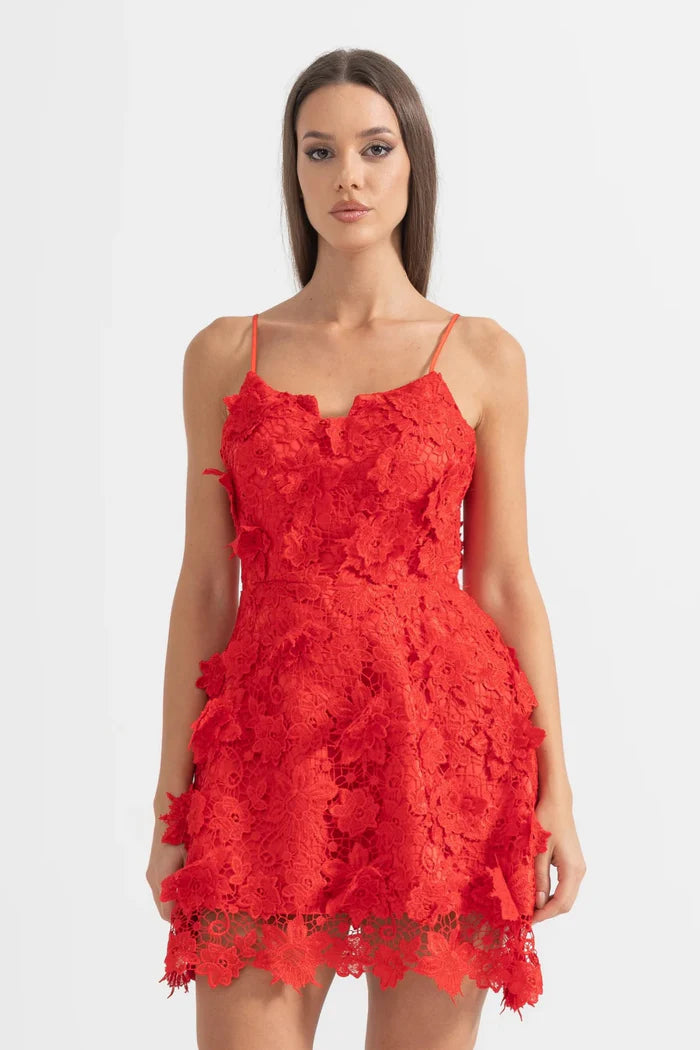 Elegant Mini Dress With Floral Lace Detailing - Red