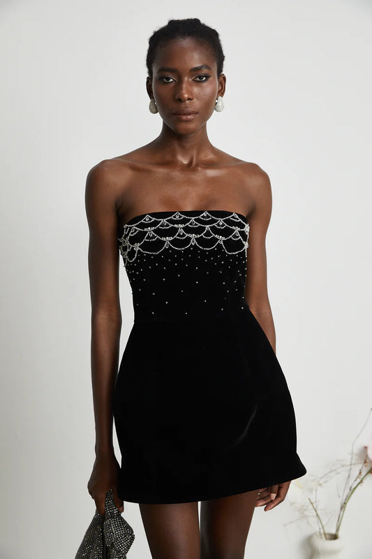 Sandrine Crystal-Ombellifhed Velvet Mini Robe