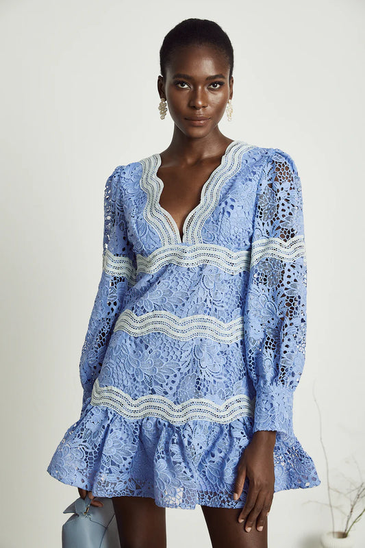 Gaëlle V-Neck Floral Broidered Mini Robe
