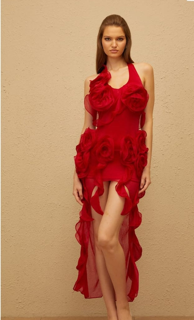 Hannabella Red Asymmetrical Ruffled Floral Mini Dress