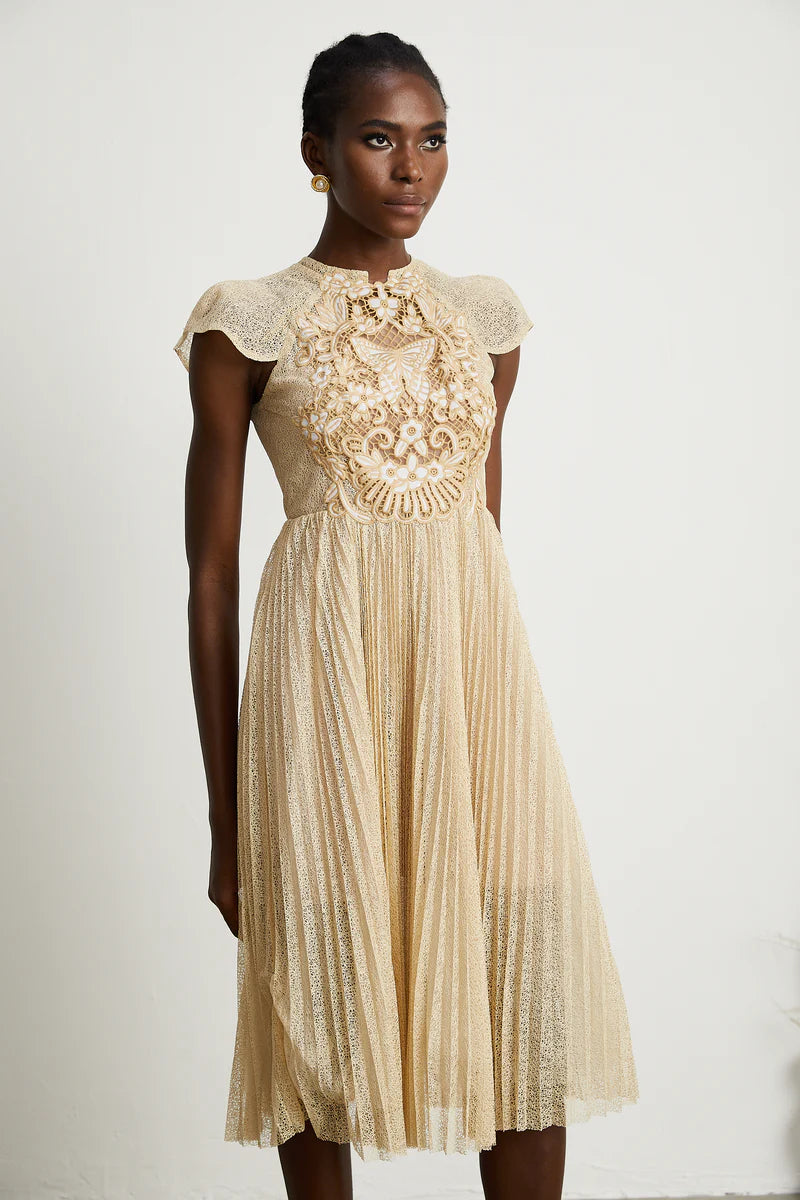 Nerissa embroidered pleated midi dress
