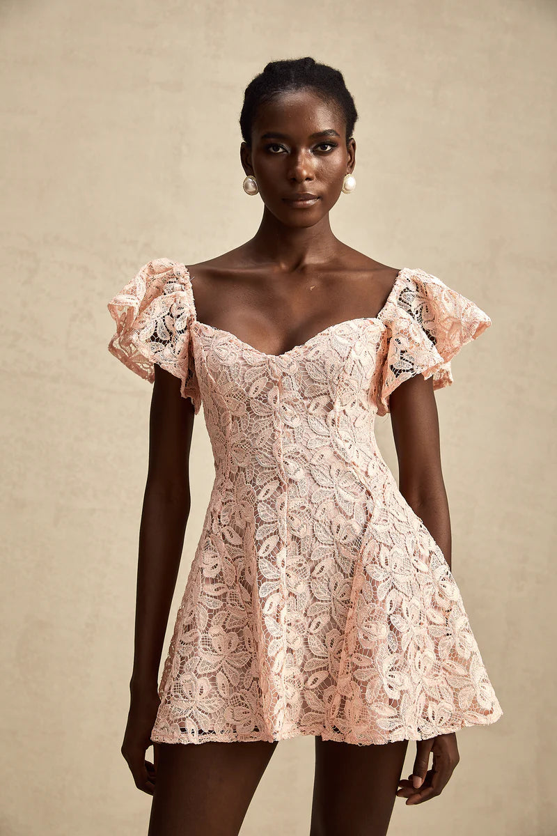 Esmée flutter-sleeve lace mini dress in Pink