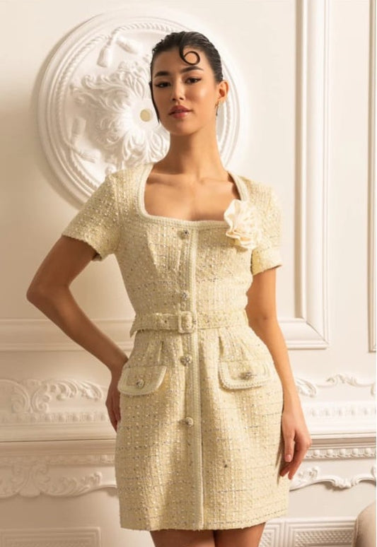 Textured Mini Dress With Matching Waistbelt And Floral Brooch - Beige