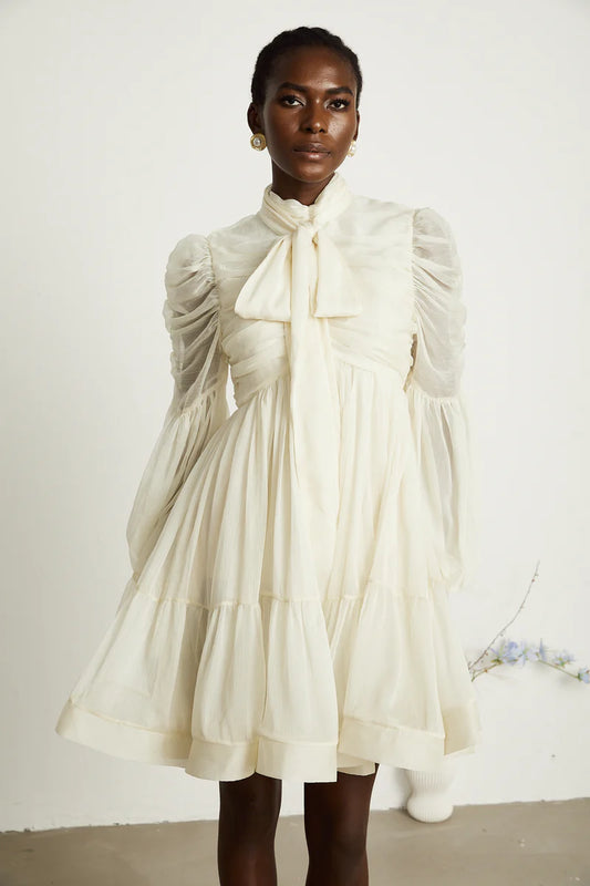 Thibaulte Tuck-Detail plière en tulle mini robe
