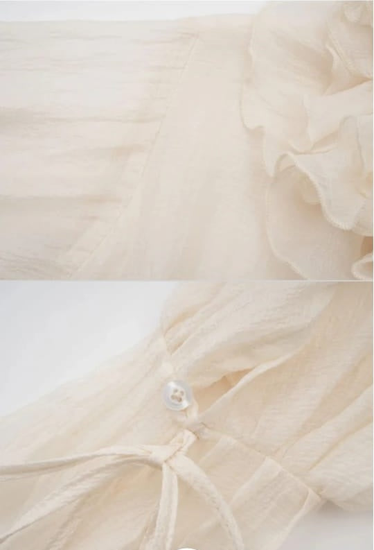 FLOWING SHEER DRESS WITH FLORAL APPLIQUES AND LONG PUFFY SLEEVES - Beige