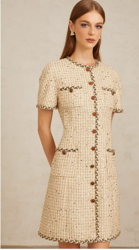 Énergie Neutral A-Line Tweed Mini Dress