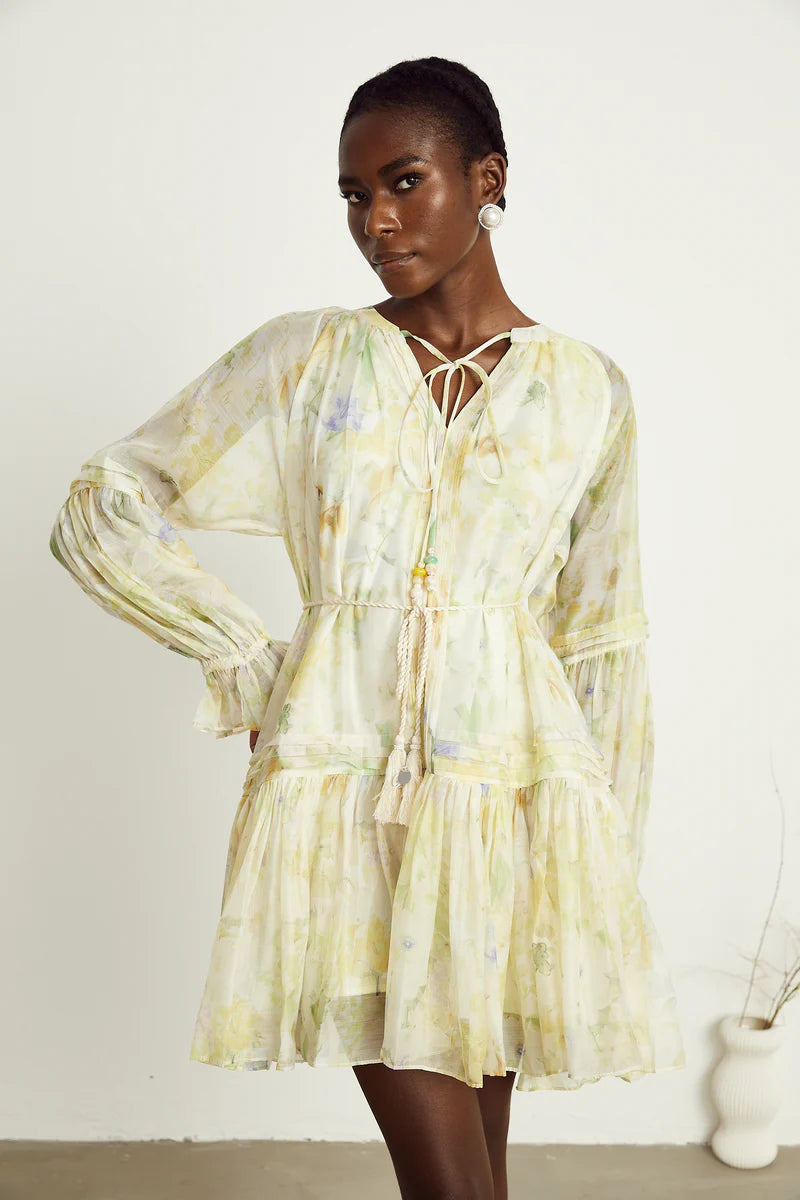 Anaël mame à imprimé floral mini robe