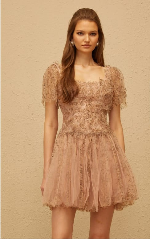 Gaëtane Brown Tulle Panel Lace Mini Dress