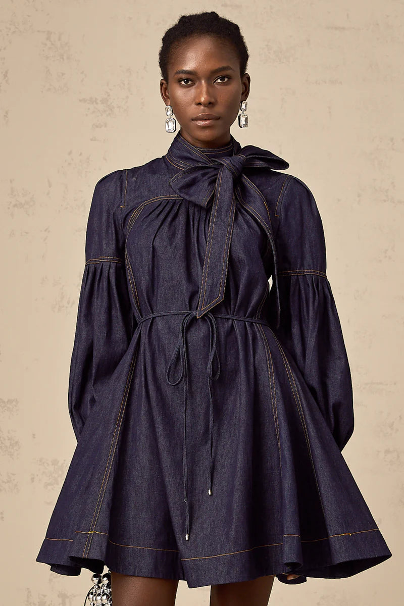 Mirabel narblue contraste-coutet denim mini robe