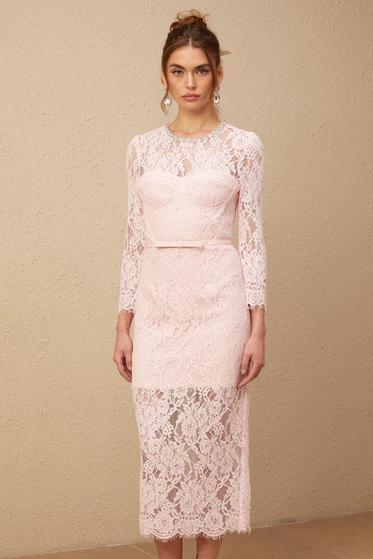 Elisabetta rose rose embelli une robe midi en dentelle emballée à floral
