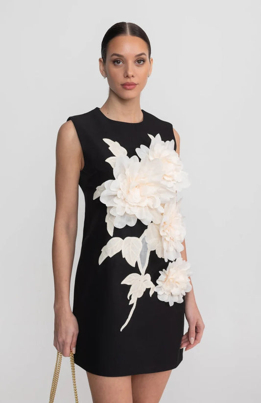 Sleeveless Mini Dress With Round Neckline And 3D Floral Appliqué - Black