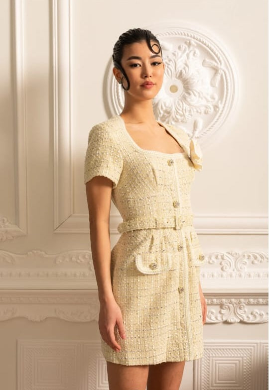 Textured Mini Dress With Matching Waistbelt And Floral Brooch - Beige