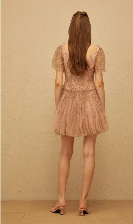 Gaëtane Brown Tulle Panel Lace Mini Dress