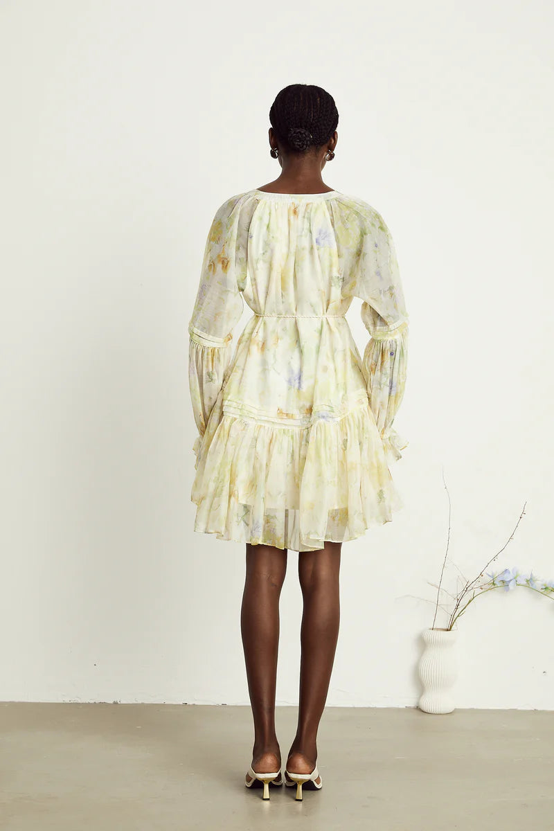 Anaël mame à imprimé floral mini robe
