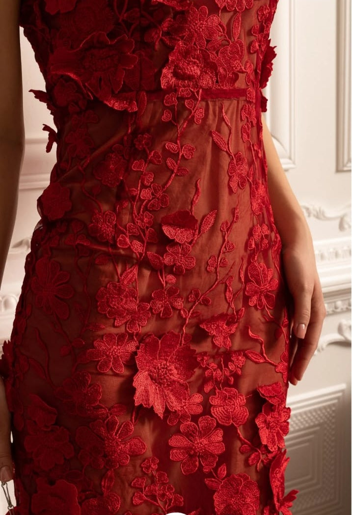 Bloßes gestickeltes Kleid mit kompliziertem Blumenmuster - rot