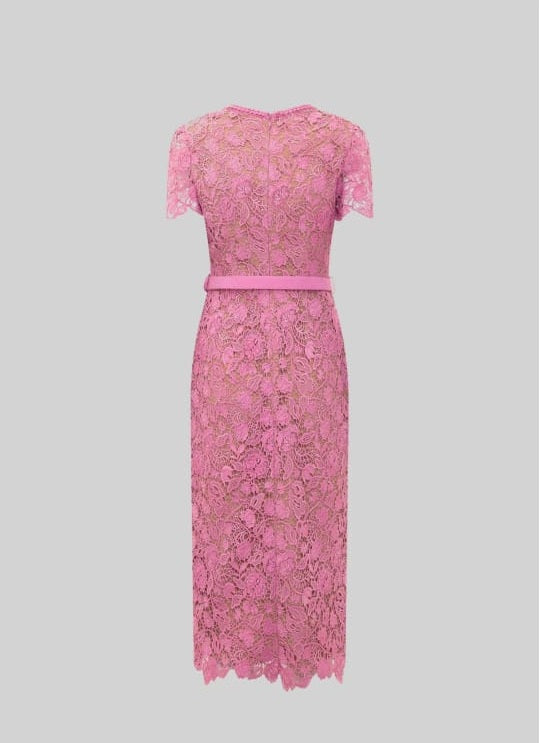 Exquisite Short Sleeve Lace Midi Dress - Rose