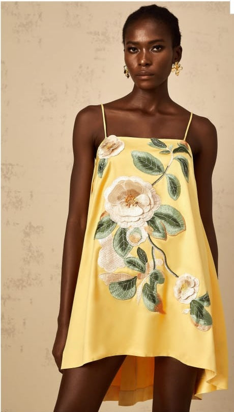 Avril Yellow Floral Embroidered Mini Dress