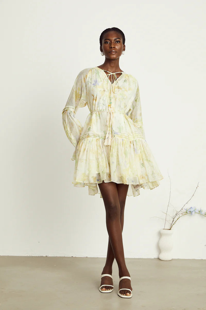 Anaël mame à imprimé floral mini robe