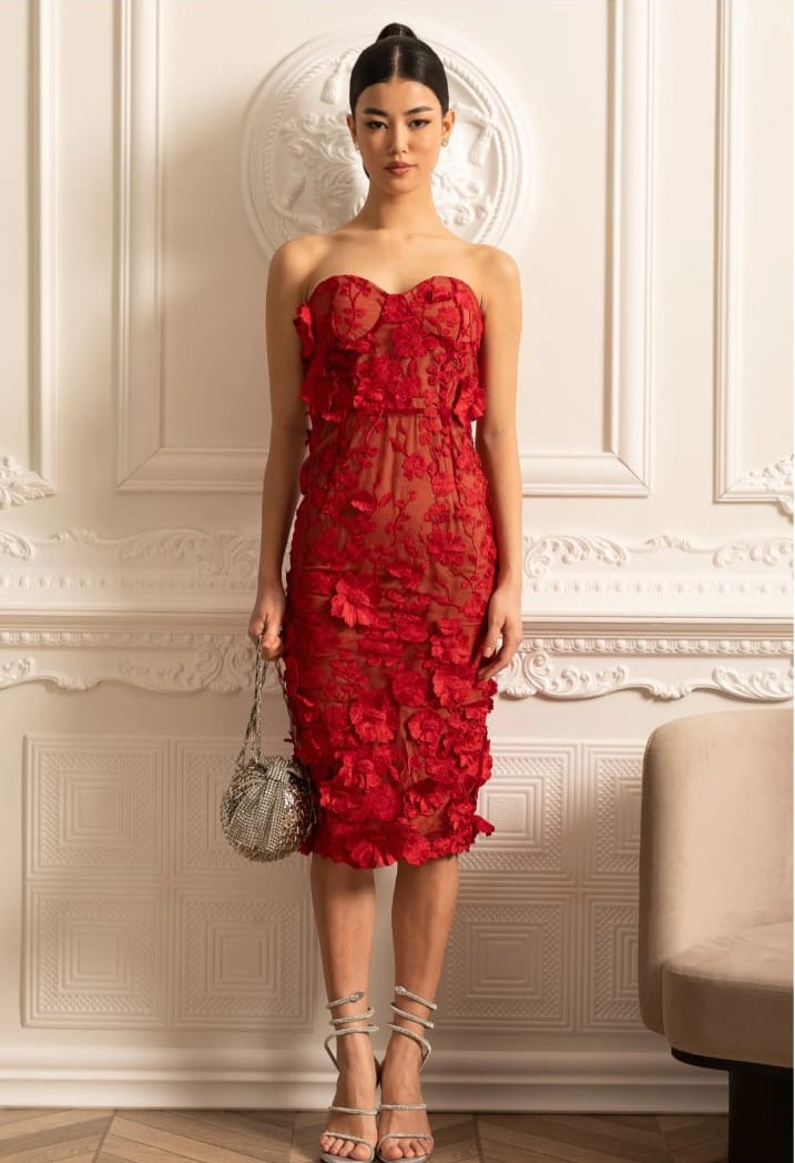 Bloßes gestickeltes Kleid mit kompliziertem Blumenmuster - rot
