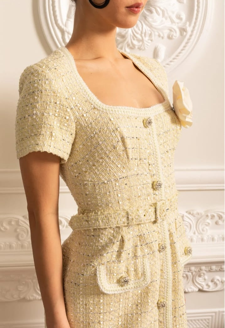 Textured Mini Dress With Matching Waistbelt And Floral Brooch - Beige