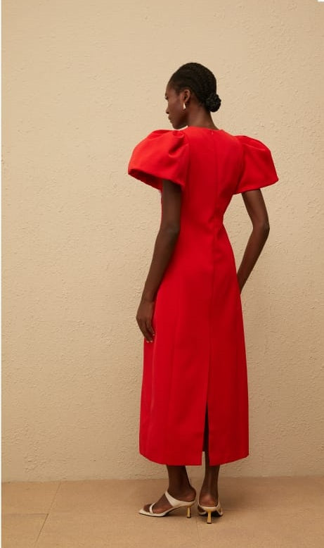 Irène Red Sequined Floral Embroidered Midi Dress