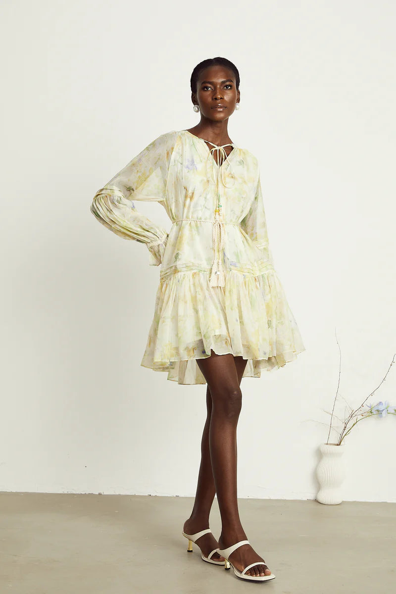 Anaël mame à imprimé floral mini robe