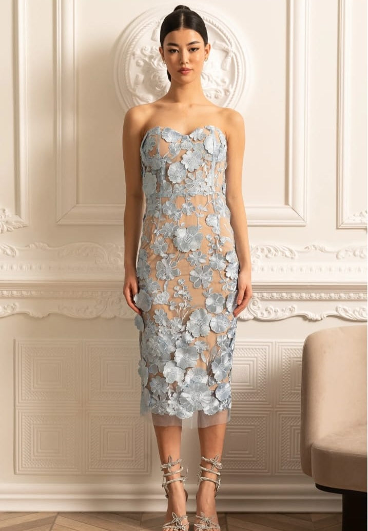 Sheer Embroidered Dress With Intricate Floral Pattern - Blue