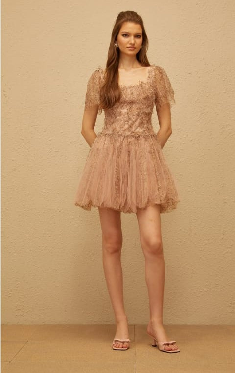 Gaëtane Brown Tulle Panel Lace Mini Dress