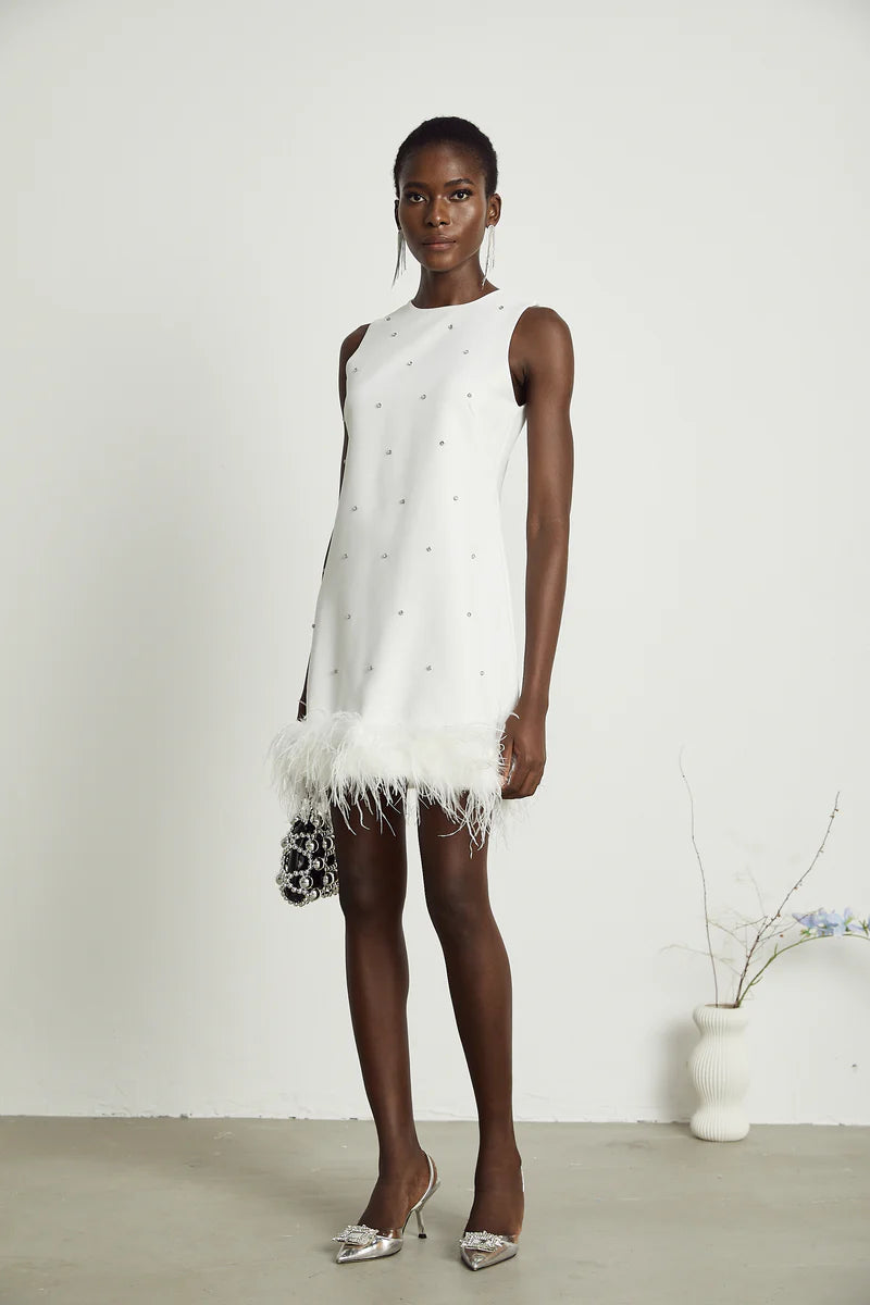 Faena embellished feather-hem mini dress
