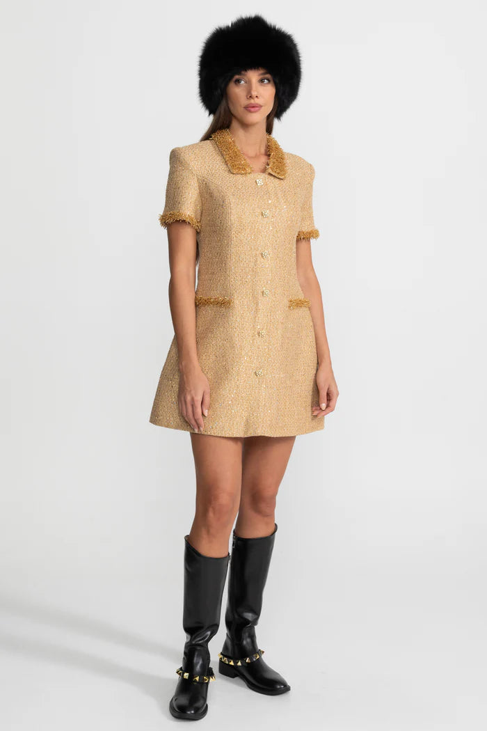 Short Sleeve Tweed Mini Dress With Metallic Fringe Trim – Gold