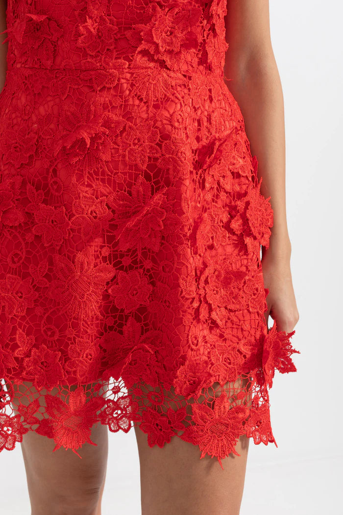 Elegant Mini Dress With Floral Lace Detailing - Red