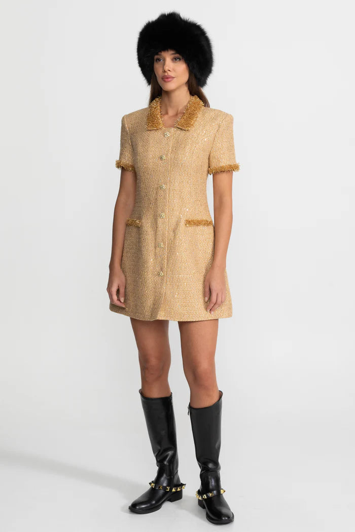 Short Sleeve Tweed Mini Dress With Metallic Fringe Trim – Gold