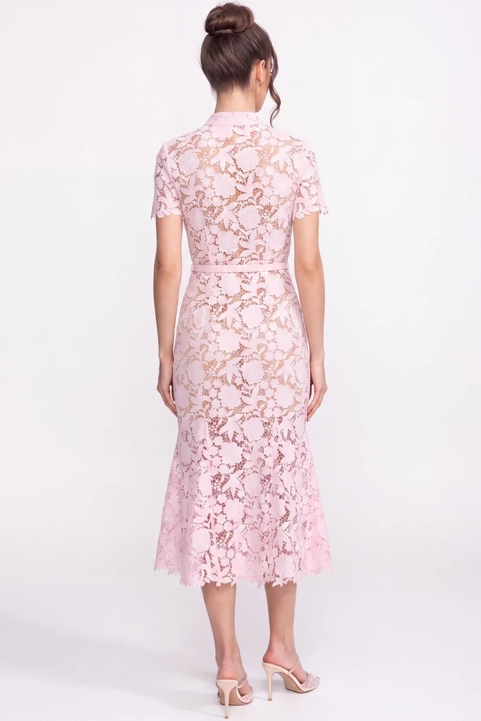 Lace Short Sleeve Midi Dress With Collared Neckline And Belted Waist - Pink