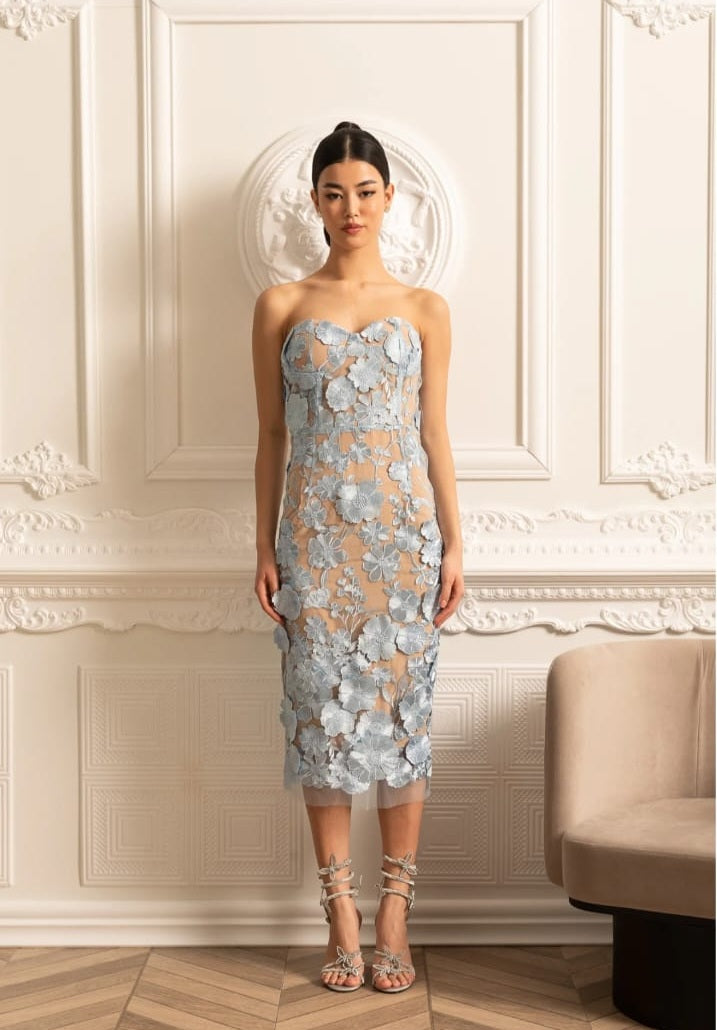 Sheer Embroidered Dress With Intricate Floral Pattern - Blue