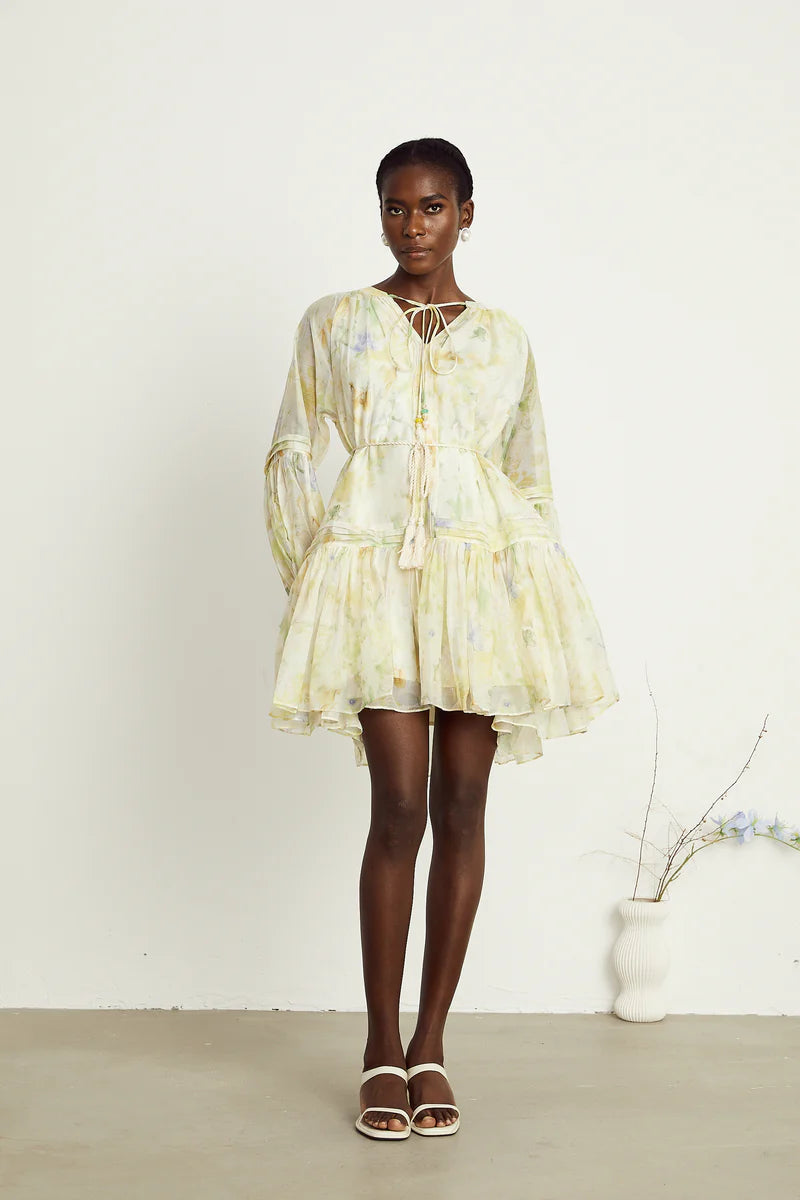 Anaël mame à imprimé floral mini robe