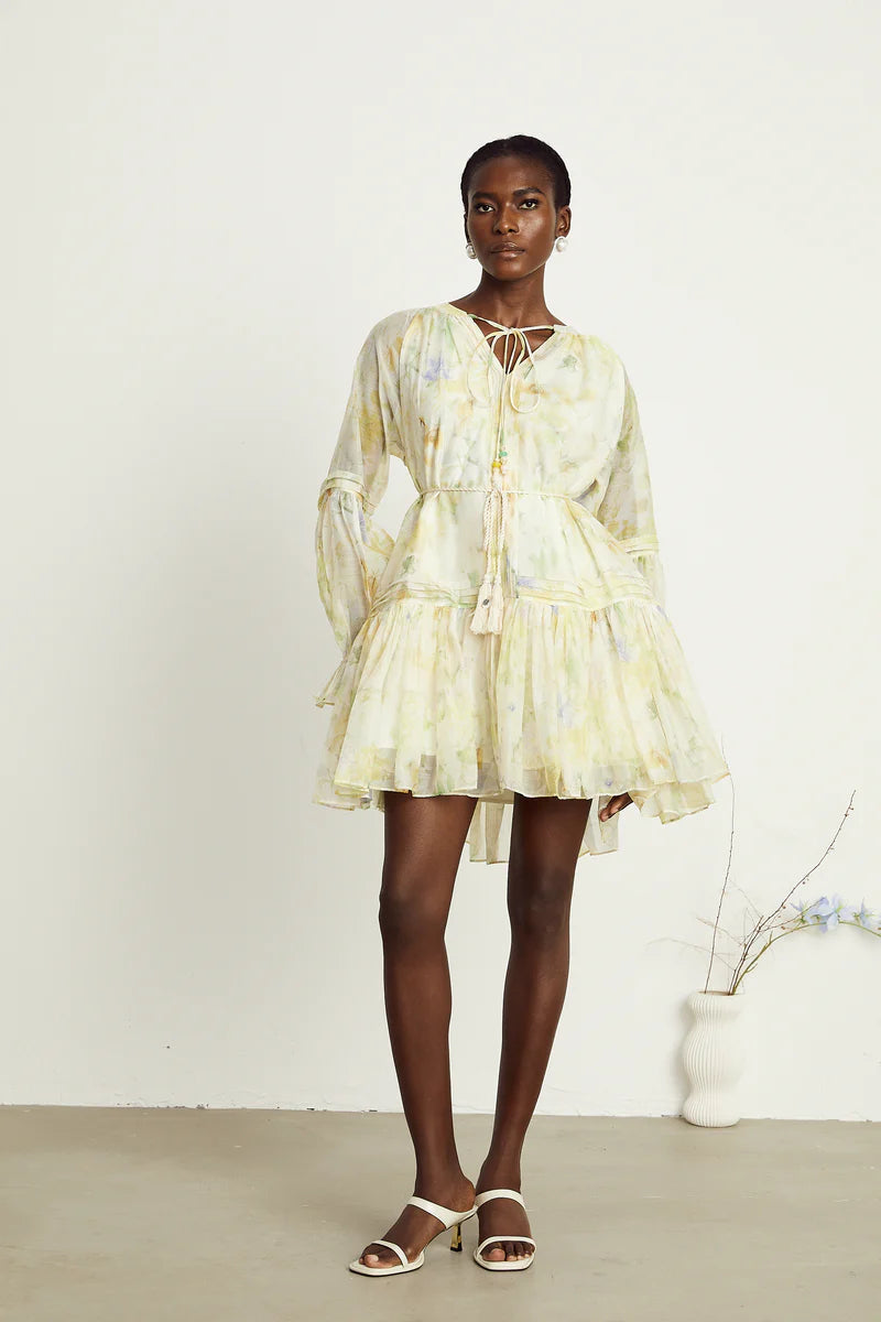 Anaël mame à imprimé floral mini robe