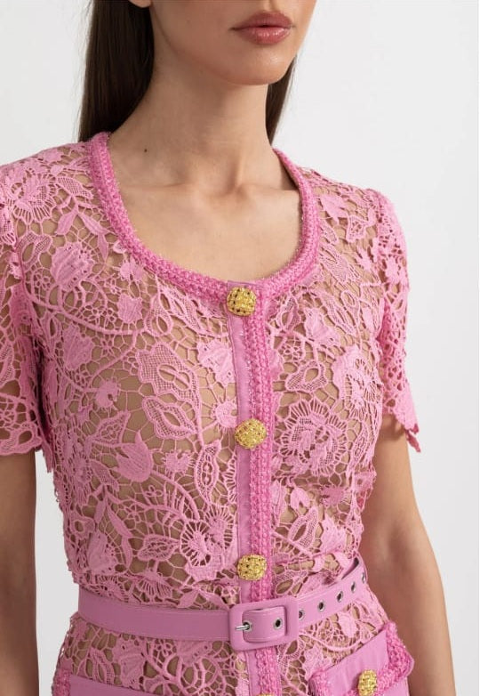 Exquisite Short Sleeve Lace Midi Dress - Rose