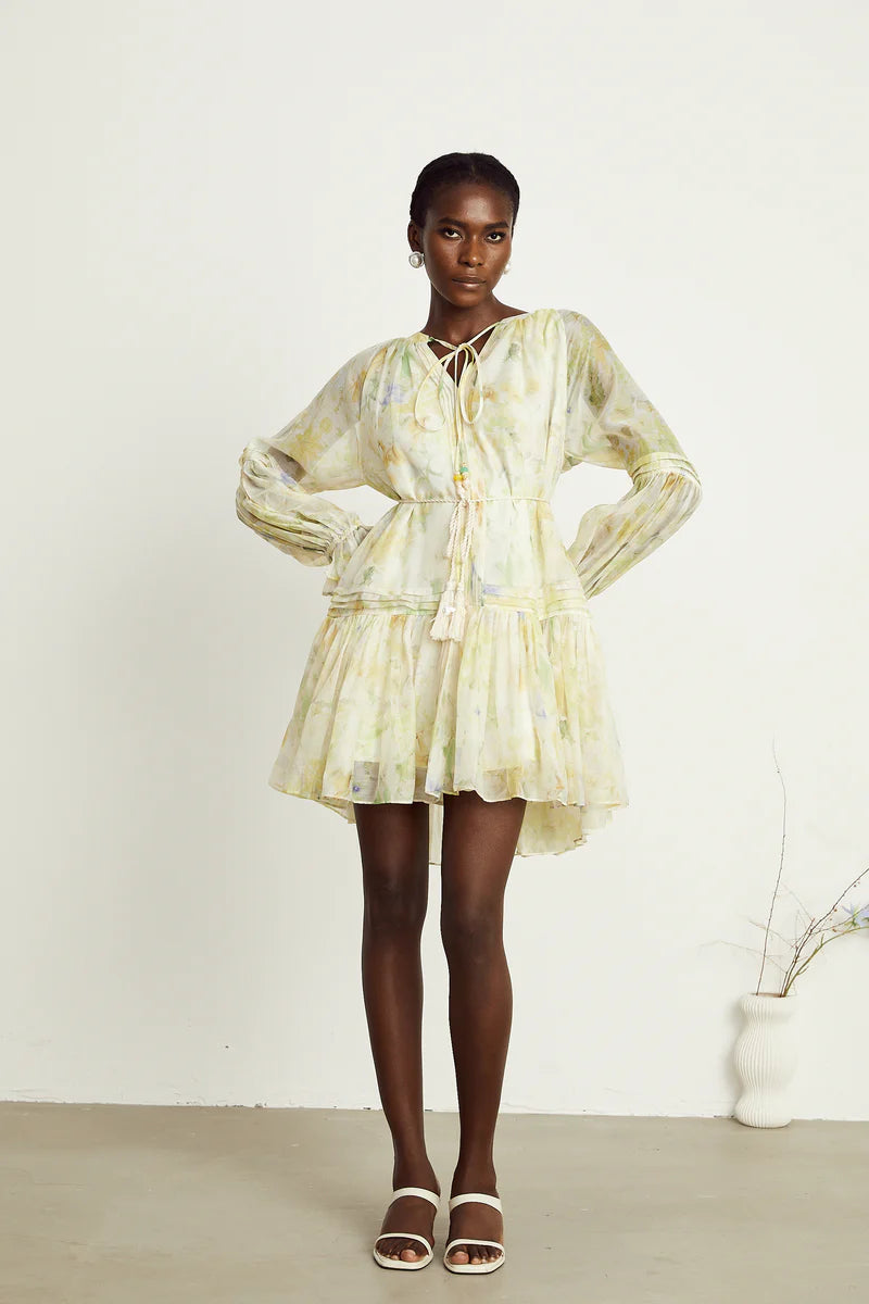 Anaël mame à imprimé floral mini robe