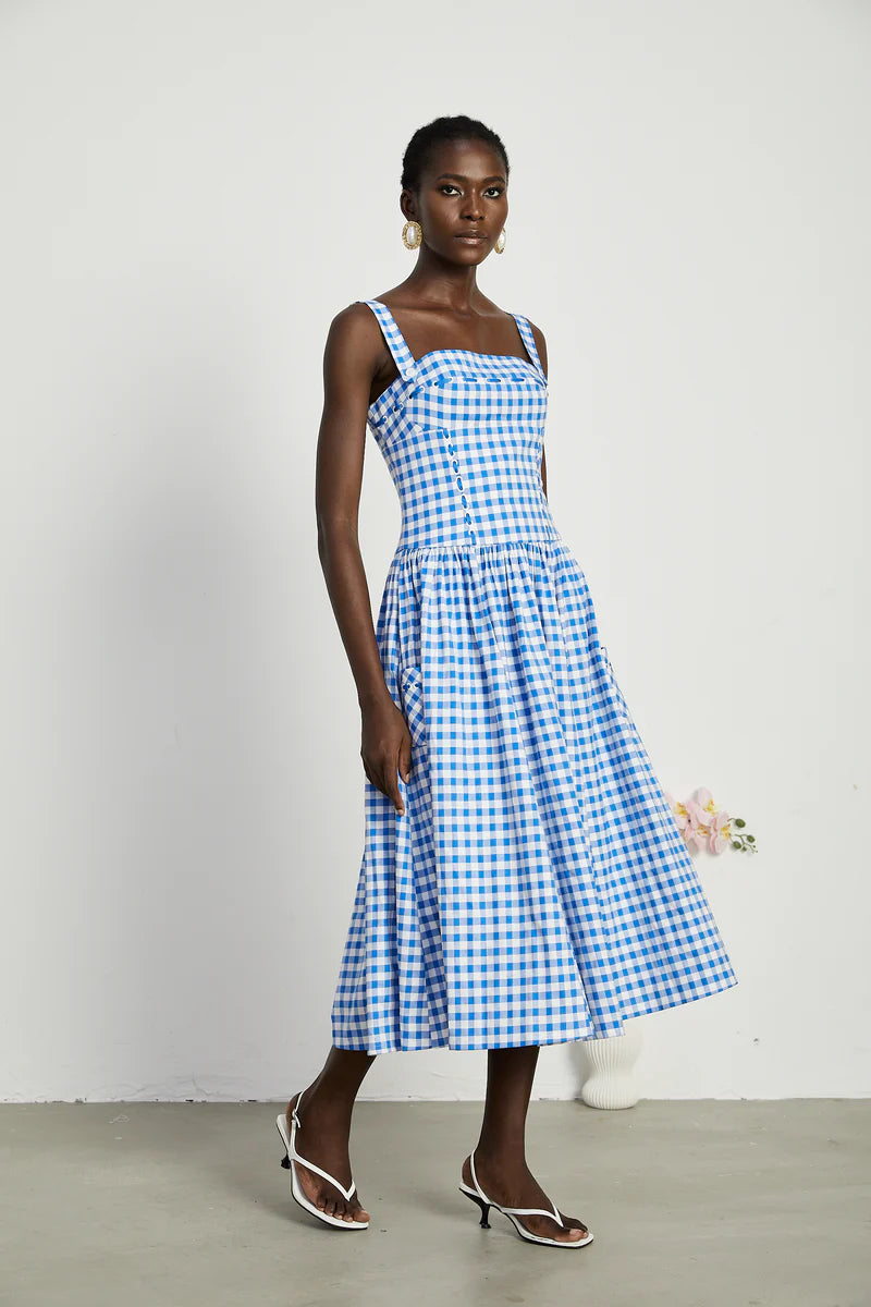 Diane gingham midi dress