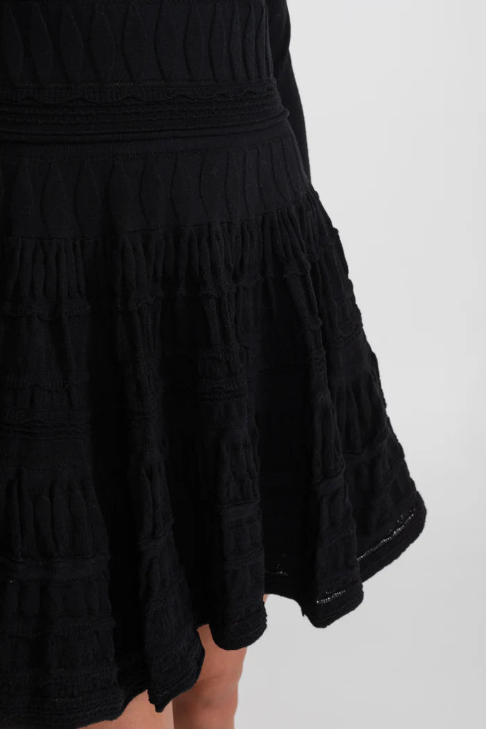 Textured Knit Mini Dress with Flared Skirt - Black