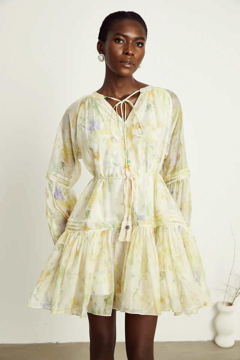 Anaël mame à imprimé floral mini robe