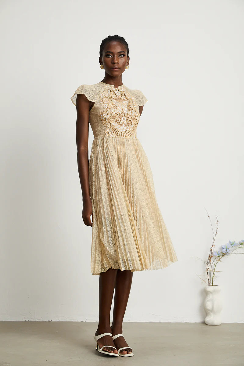 Nerissa embroidered pleated midi dress